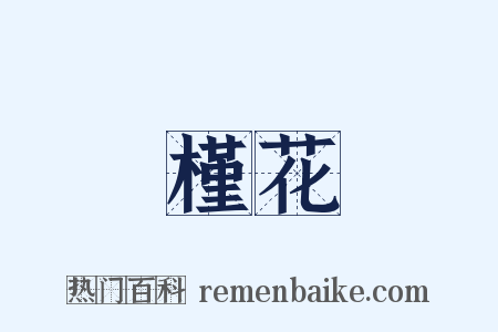 槿花是什么意思的图片